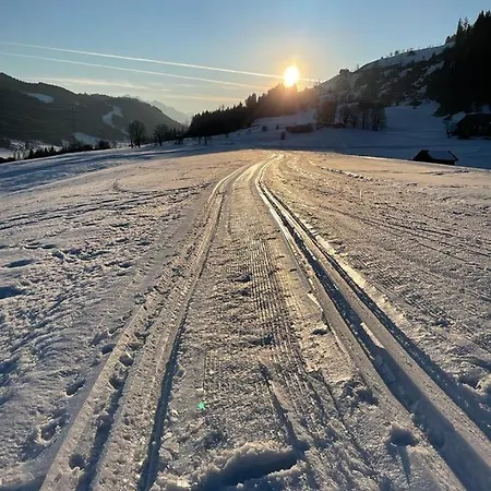 Broschek Apartment Flachau