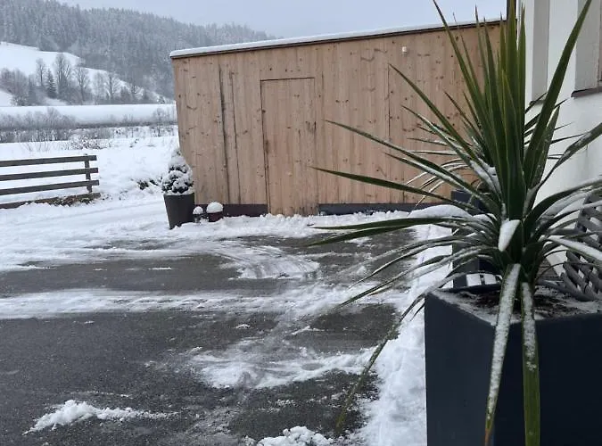 Broschek Apartment Flachau