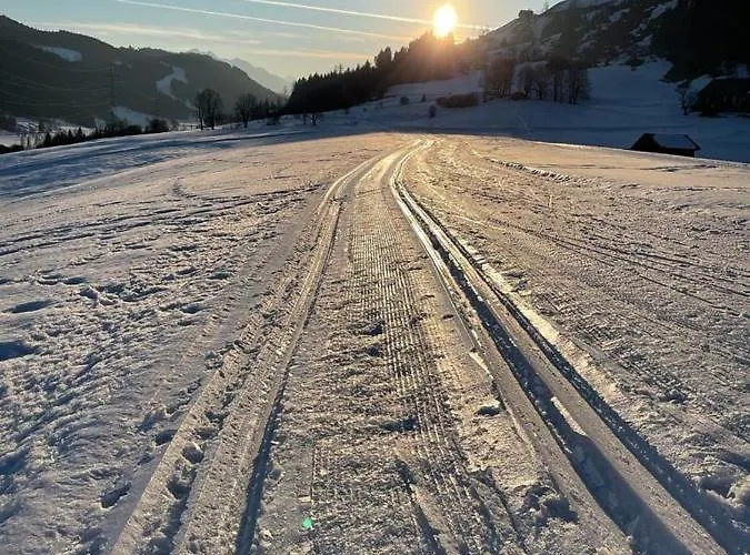 Broschek Appartamento Flachau